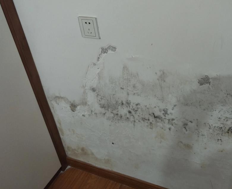 1680919759557574.jpg 微信截图_20221001120004.jpg