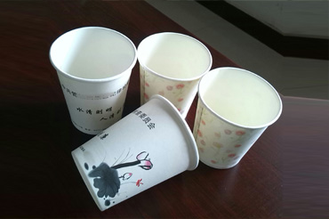 1683255032895642.jpg 纸杯05.jpg